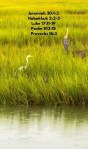 #meditatemonday #journalingjourney #waterwalkers29