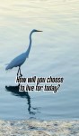 #songsunday #livefortoday #waterwalkers29
