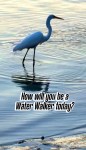 #meditatemonday #livefortoday #waterwalkers29